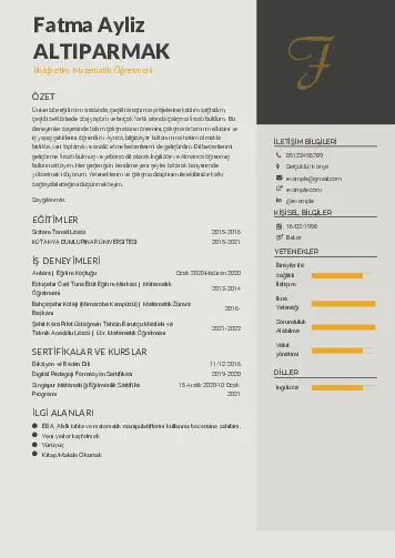 Matematik Öğretmeni Cv Örnekleri cv indir